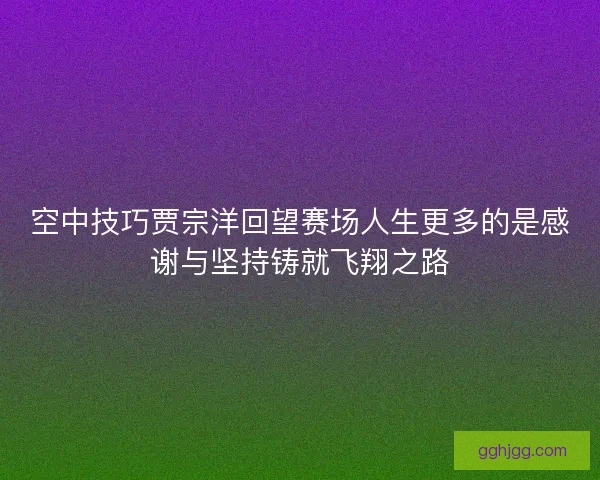 空中技巧贾宗洋回望赛场人生更多的是感谢与坚持铸就飞翔之路