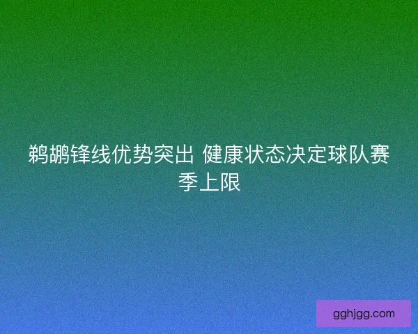 鹈鹕锋线优势突出 健康状态决定球队赛季上限
